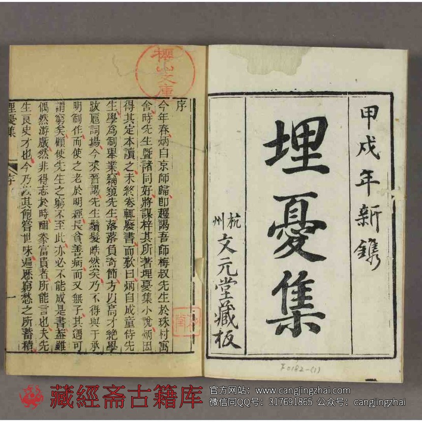 埋忧集 10卷 续2卷 清 朱翊清撰  杭州文元堂 同治13年  古籍古书网盘下载